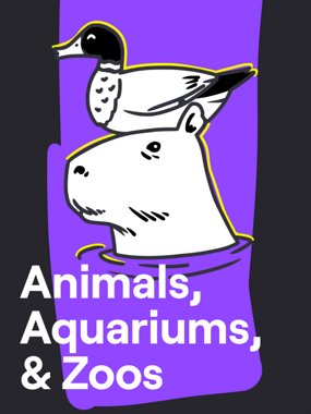 Animals, Aquariums, and Zoos