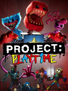 PROJECT: PLAYTIME